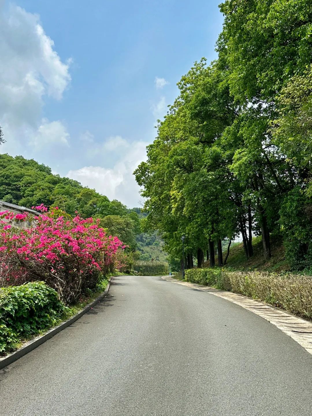 Wengu Greenway, a beautiful greenway