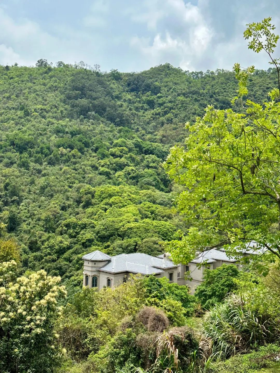 Wengu Greenway, a beautiful greenway