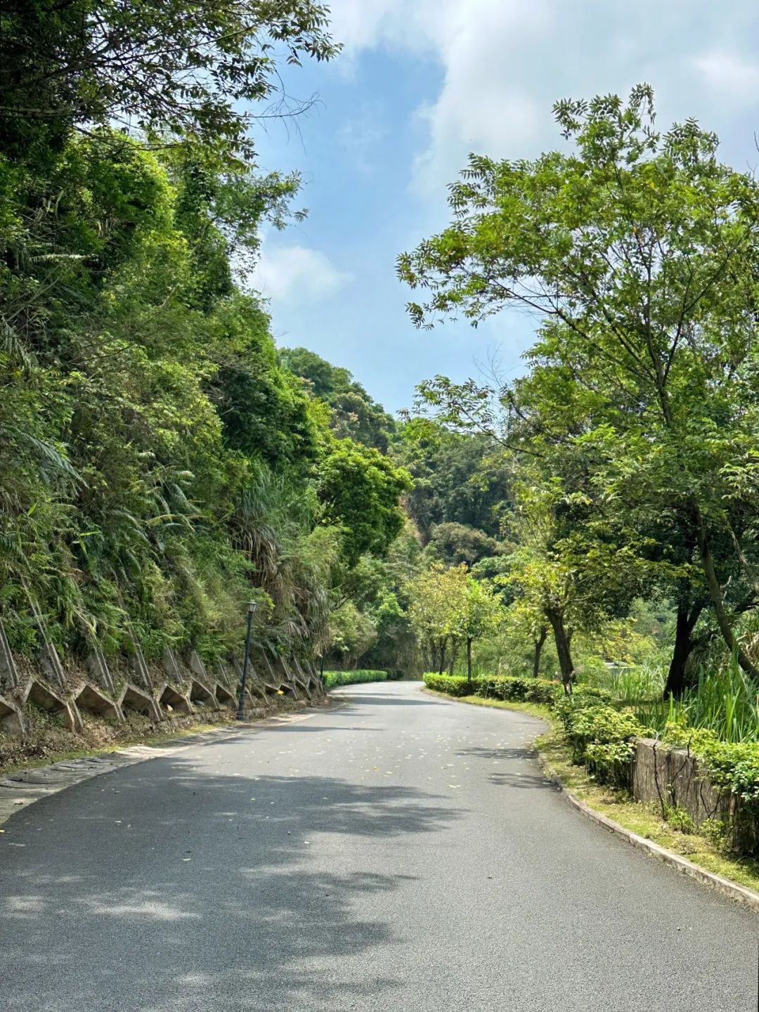 Wengu Greenway, a beautiful greenway