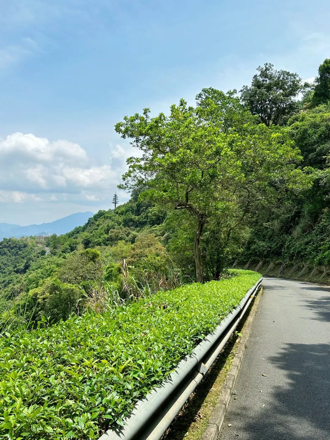 Wengu Greenway, a beautiful greenway