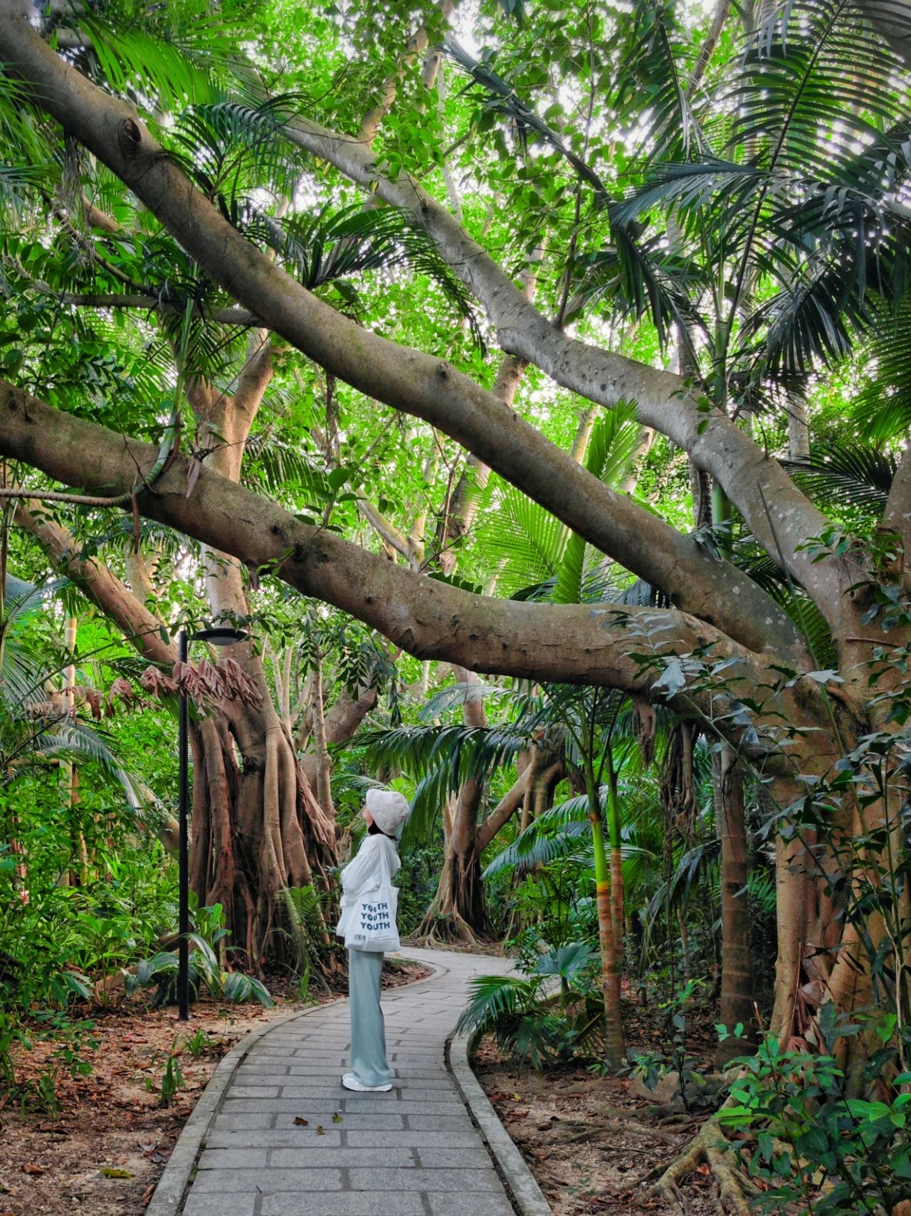 In Shenzhen! Lake Island Botanical Paradise, only 1% of people have been there