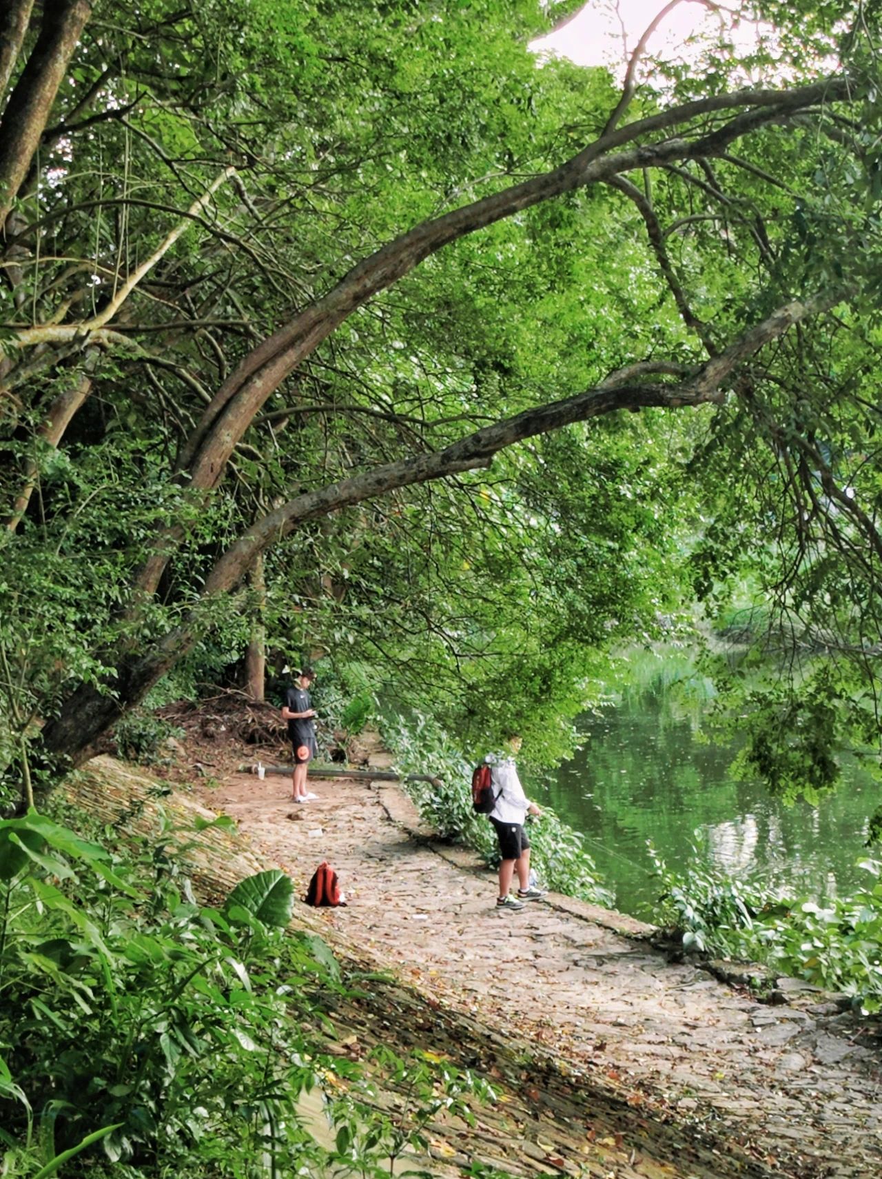 West Island, located in the center of “Donghu Park”