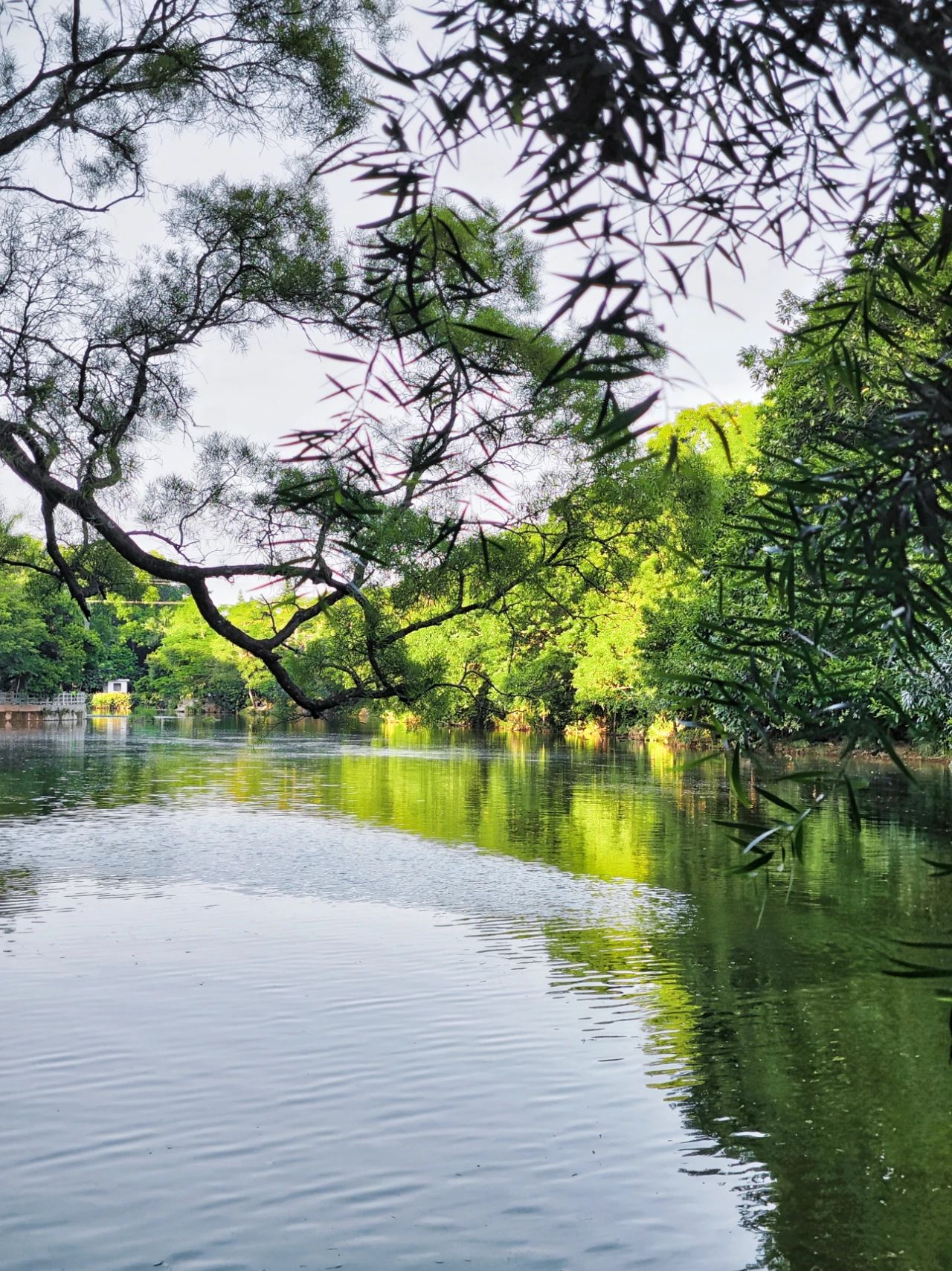 West Island, located in the center of “Donghu Park”