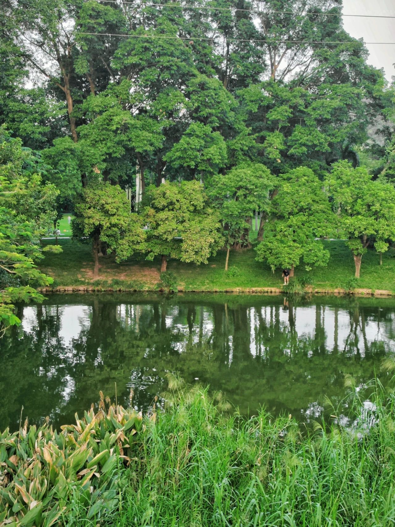 West Island, located in the center of “Donghu Park”