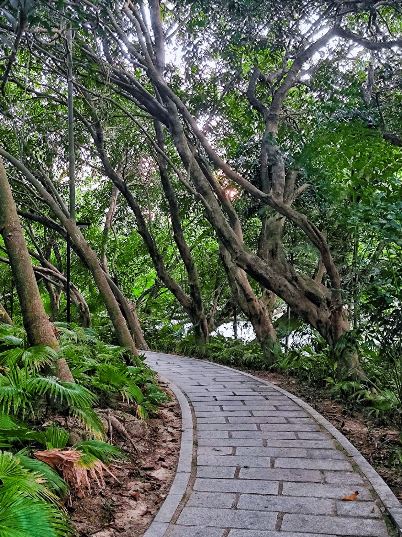 West Island, located in the center of “Donghu Park”