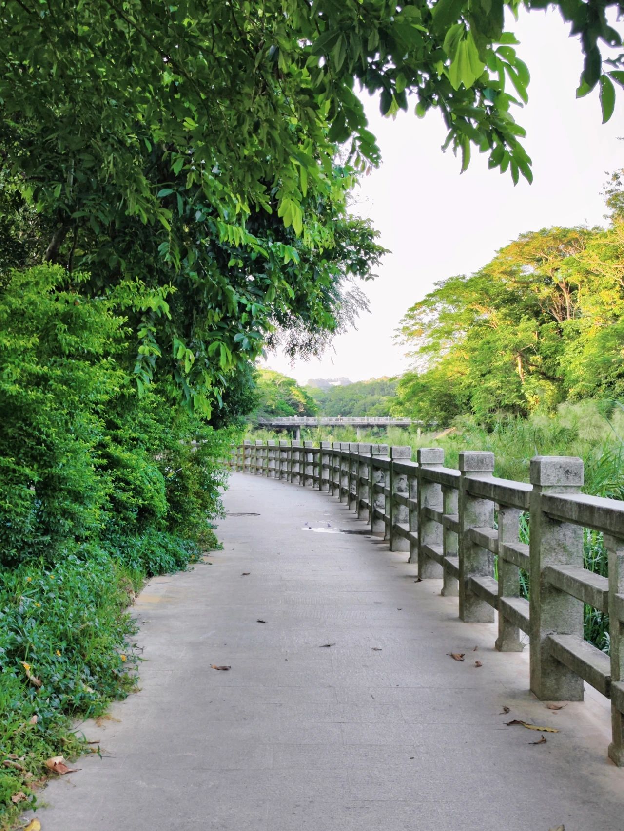 West Island, located in the center of “Donghu Park”