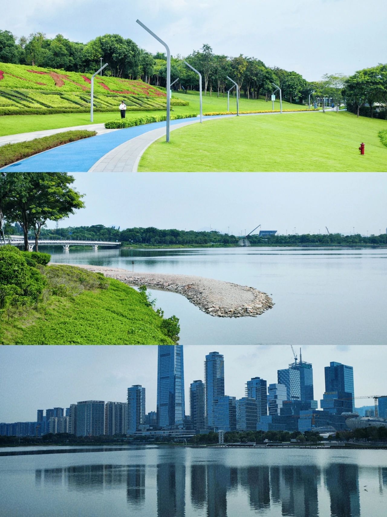 Liu Hua Shan, Shenzhen Bay Park