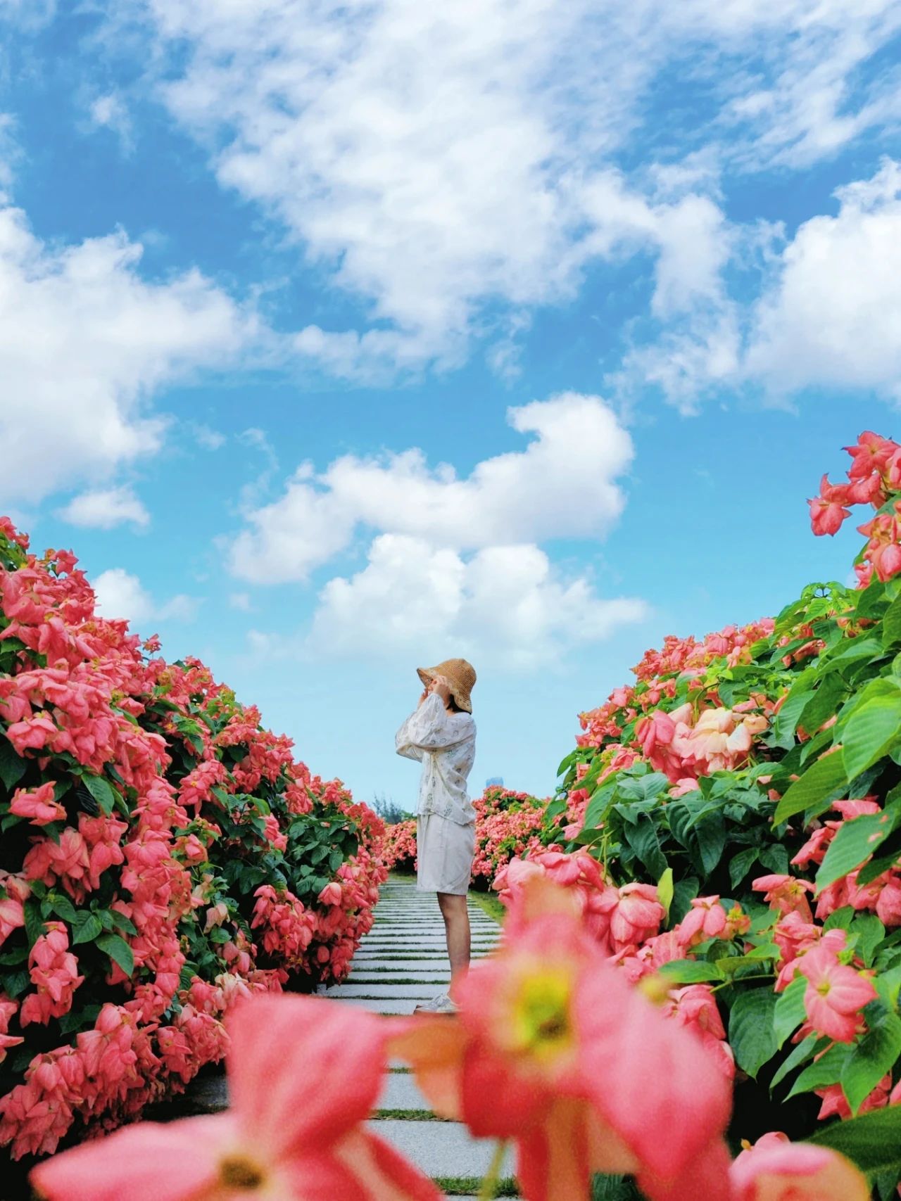 Liu Hua Shan, Shenzhen Bay Park