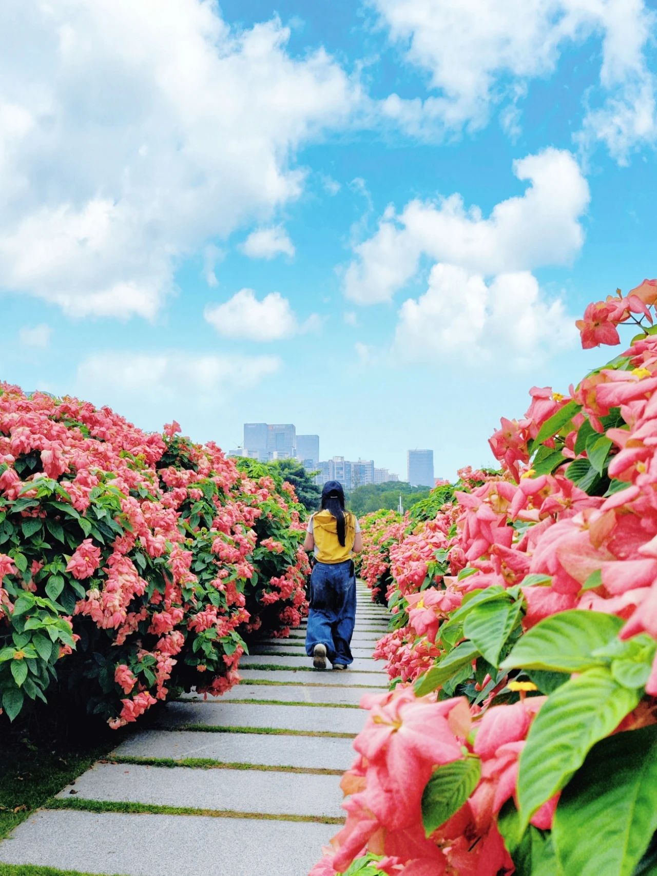 Liu Hua Shan, Shenzhen Bay Park