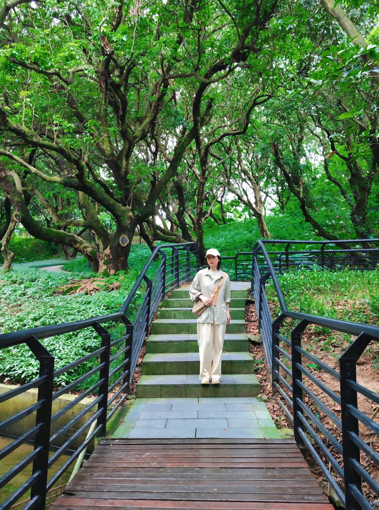 Moon Bay Park in Shenzhen! Treasure cold photo places, beautiful as a fairy tale world