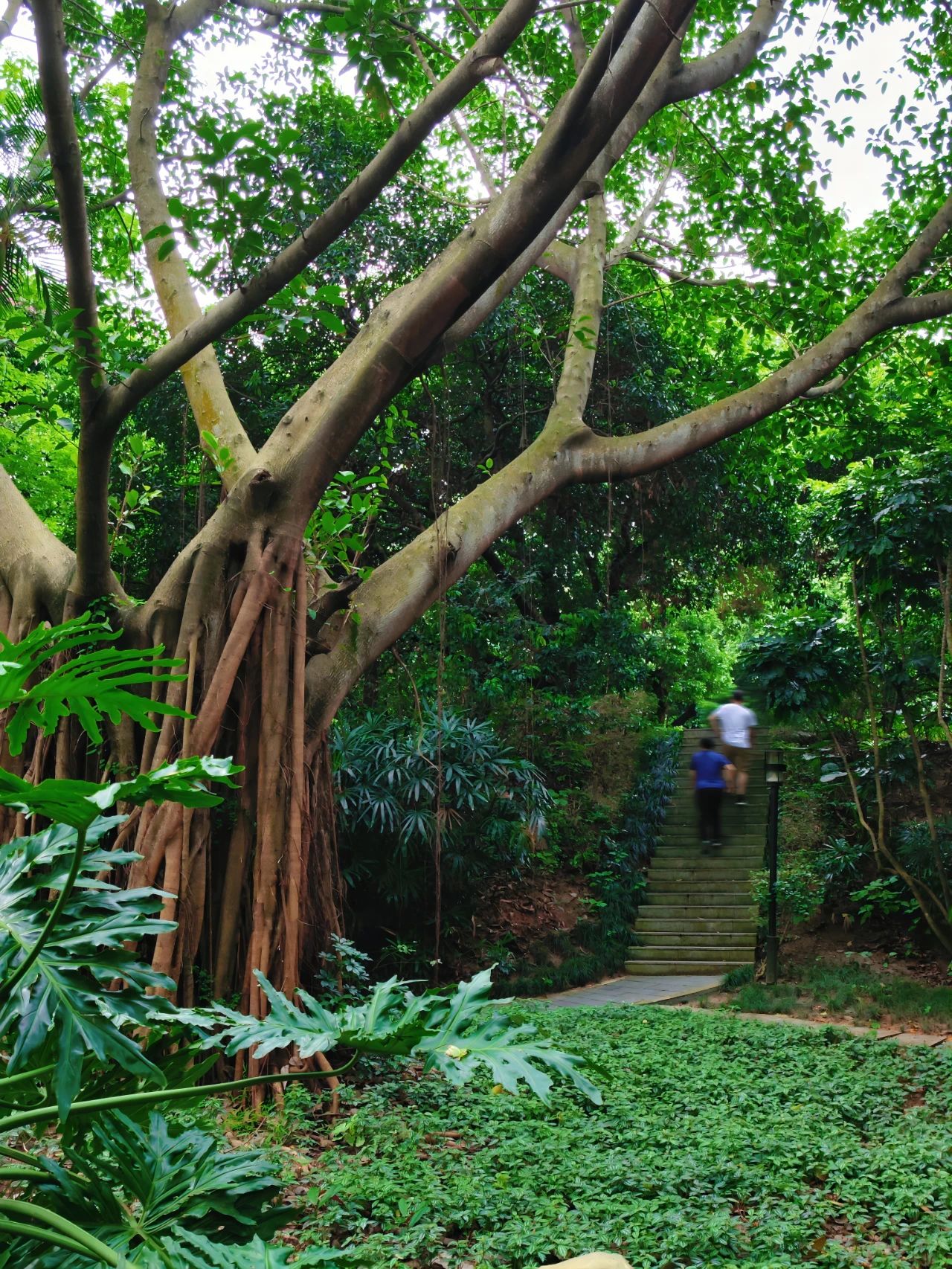 Moon Bay Park, beautiful as a fairy tale world