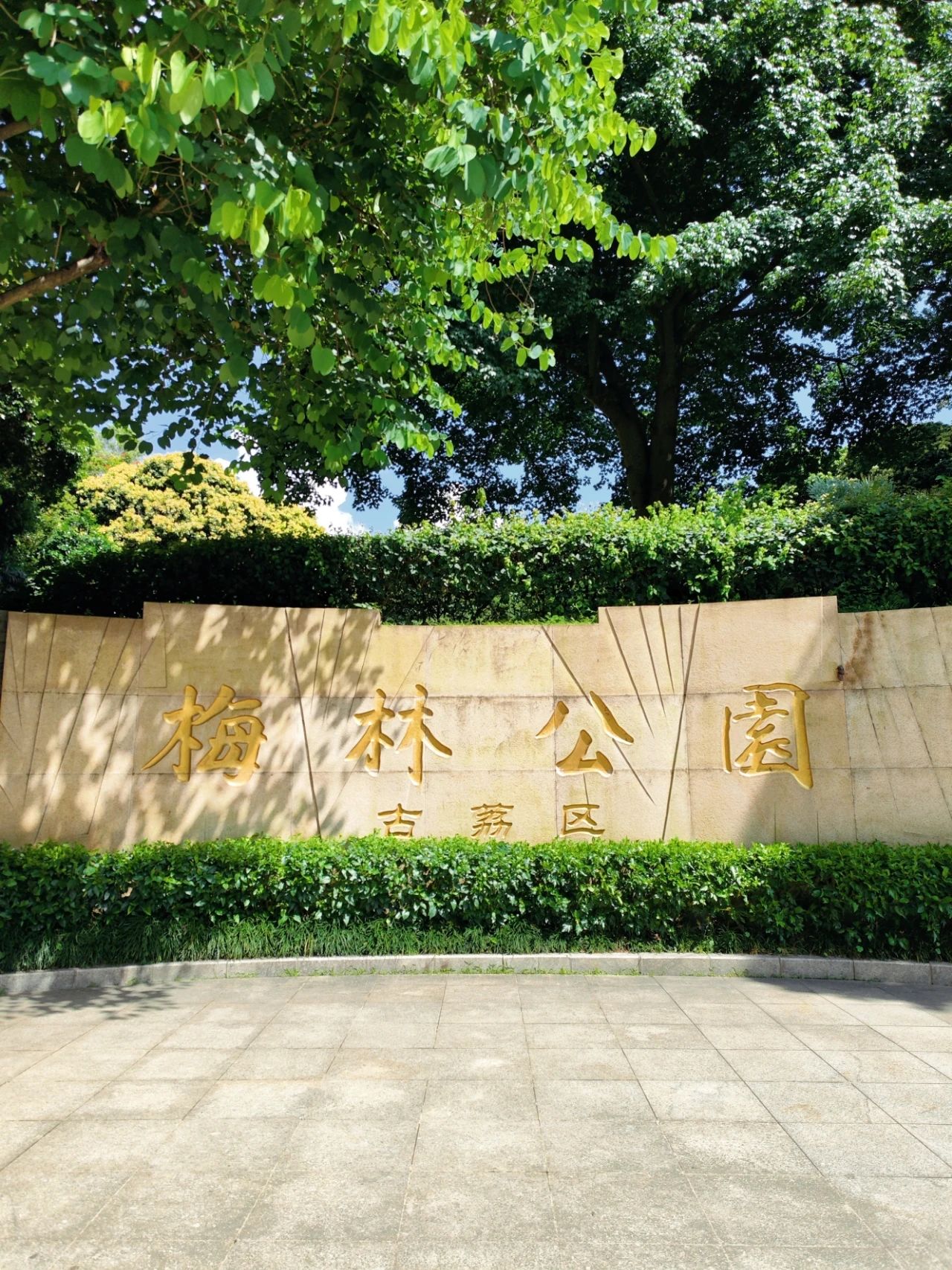 Shenzhen Meilin Park's old tree