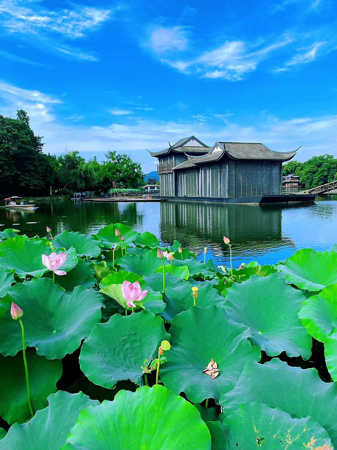 Hangzhou｜Qu Yuan Feng He is breathtakingly beautiful, too shocking ❗️