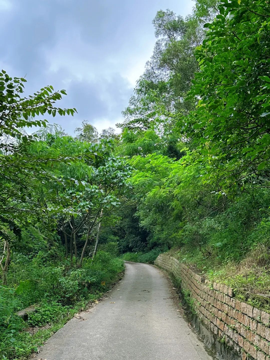 Ngong Ping Campground, Hong Kong