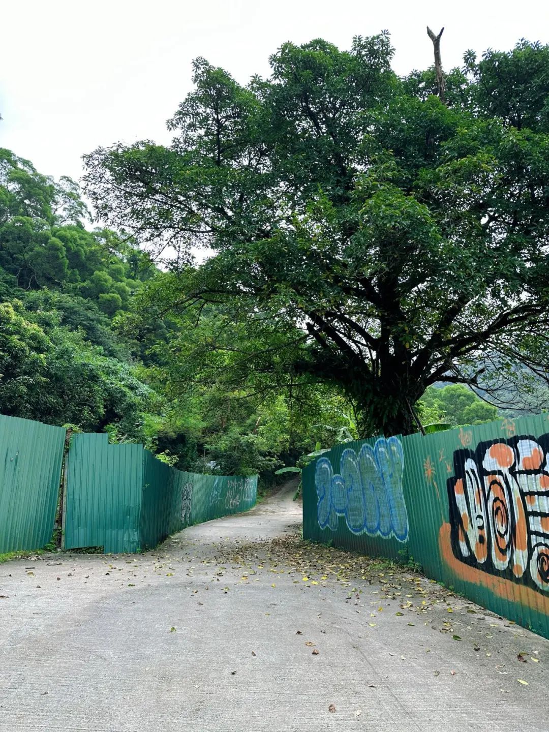 Ngong Ping Campground, Hong Kong