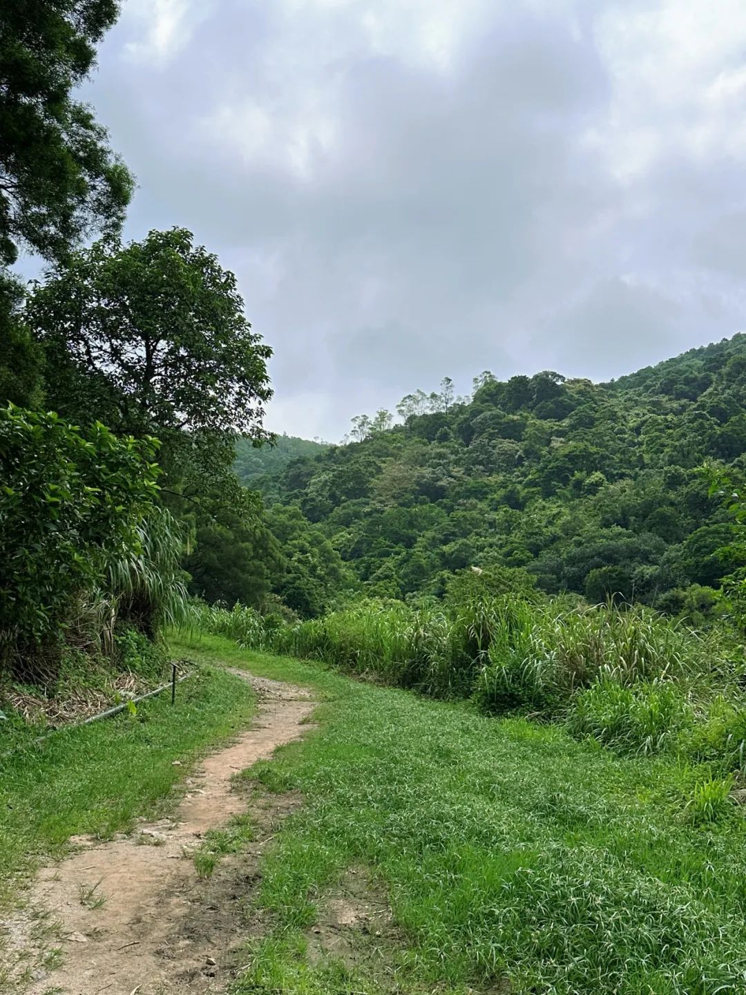 Ngong Ping Campground, Hong Kong