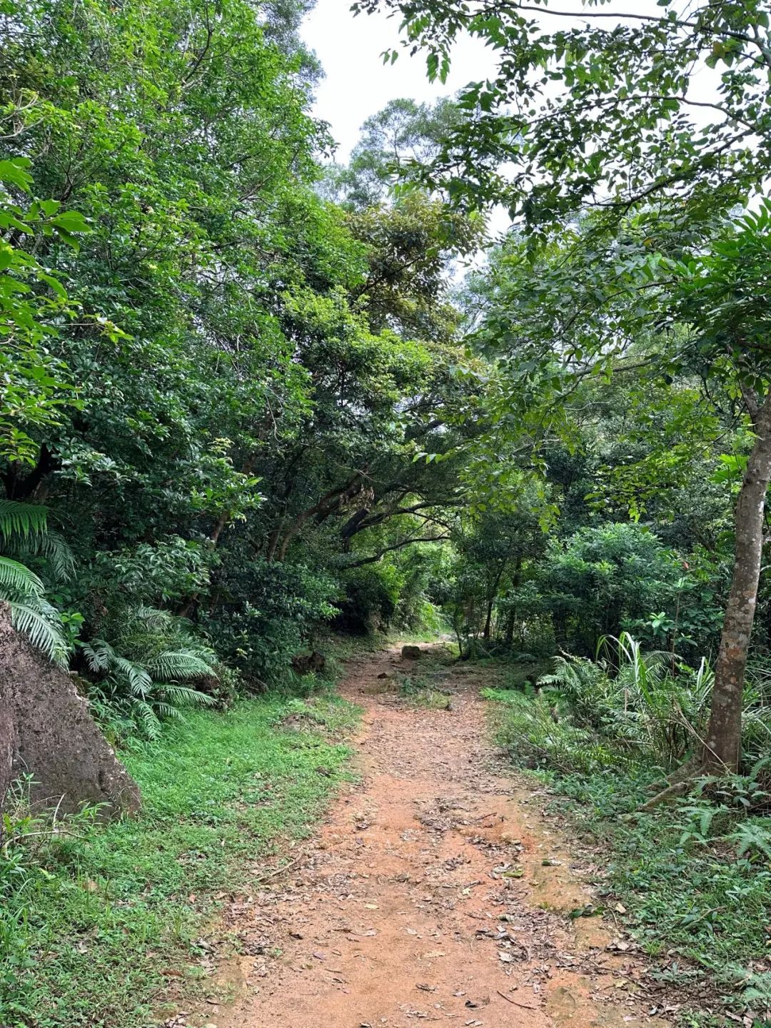 Ngong Ping Campground, Hong Kong