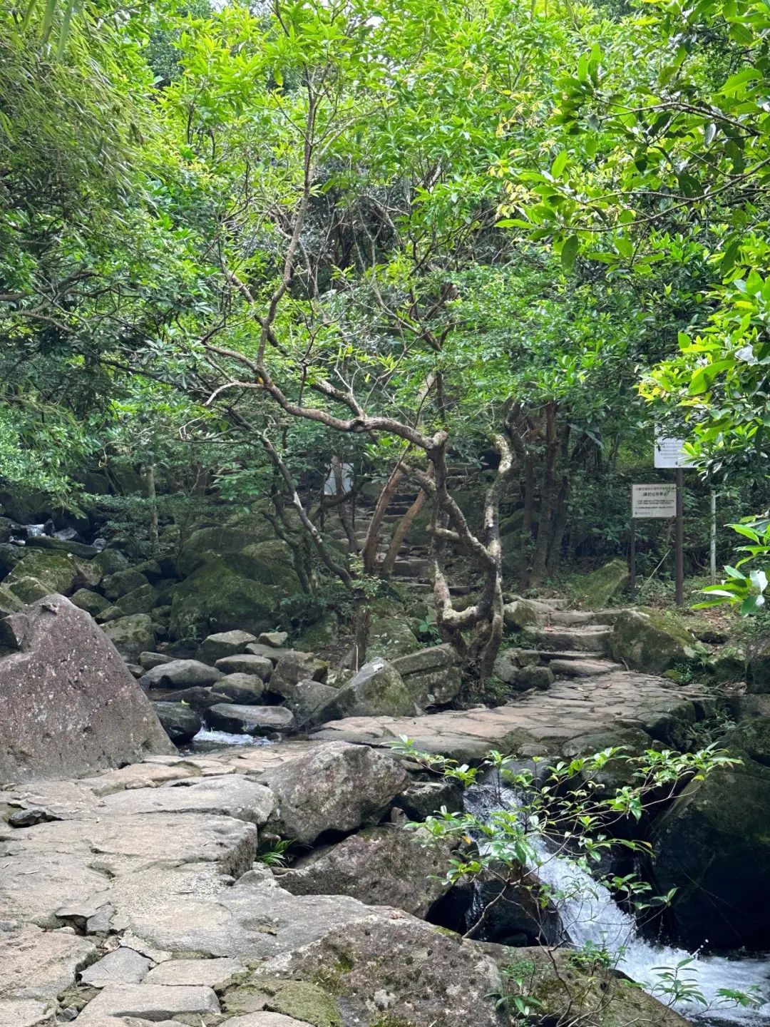 Ngong Ping Campground, Hong Kong