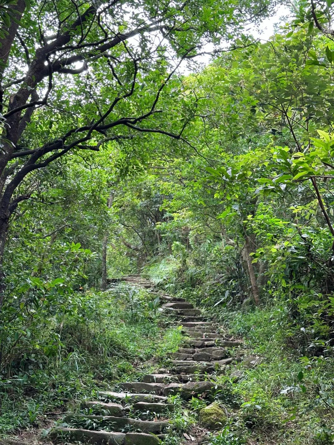 Ngong Ping Campground, Hong Kong