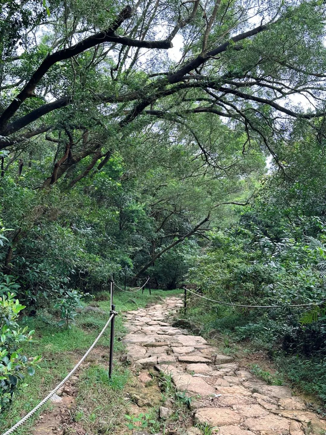 Ngong Ping Campground, Hong Kong