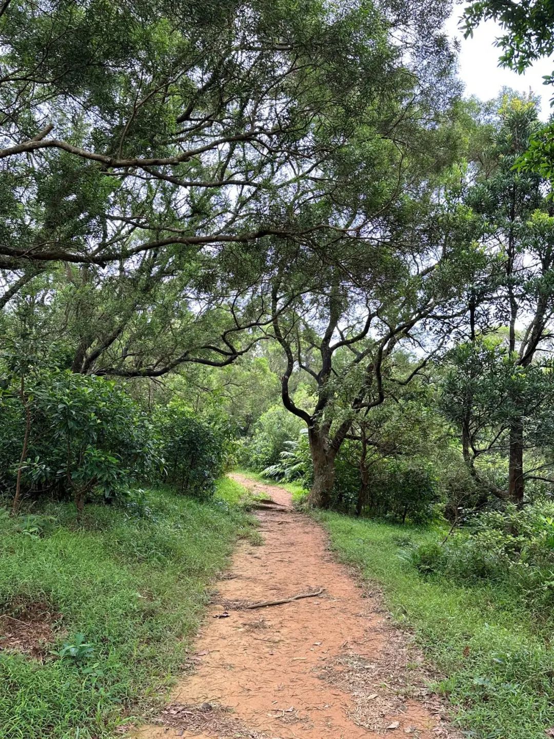 Ngong Ping Campground, Hong Kong