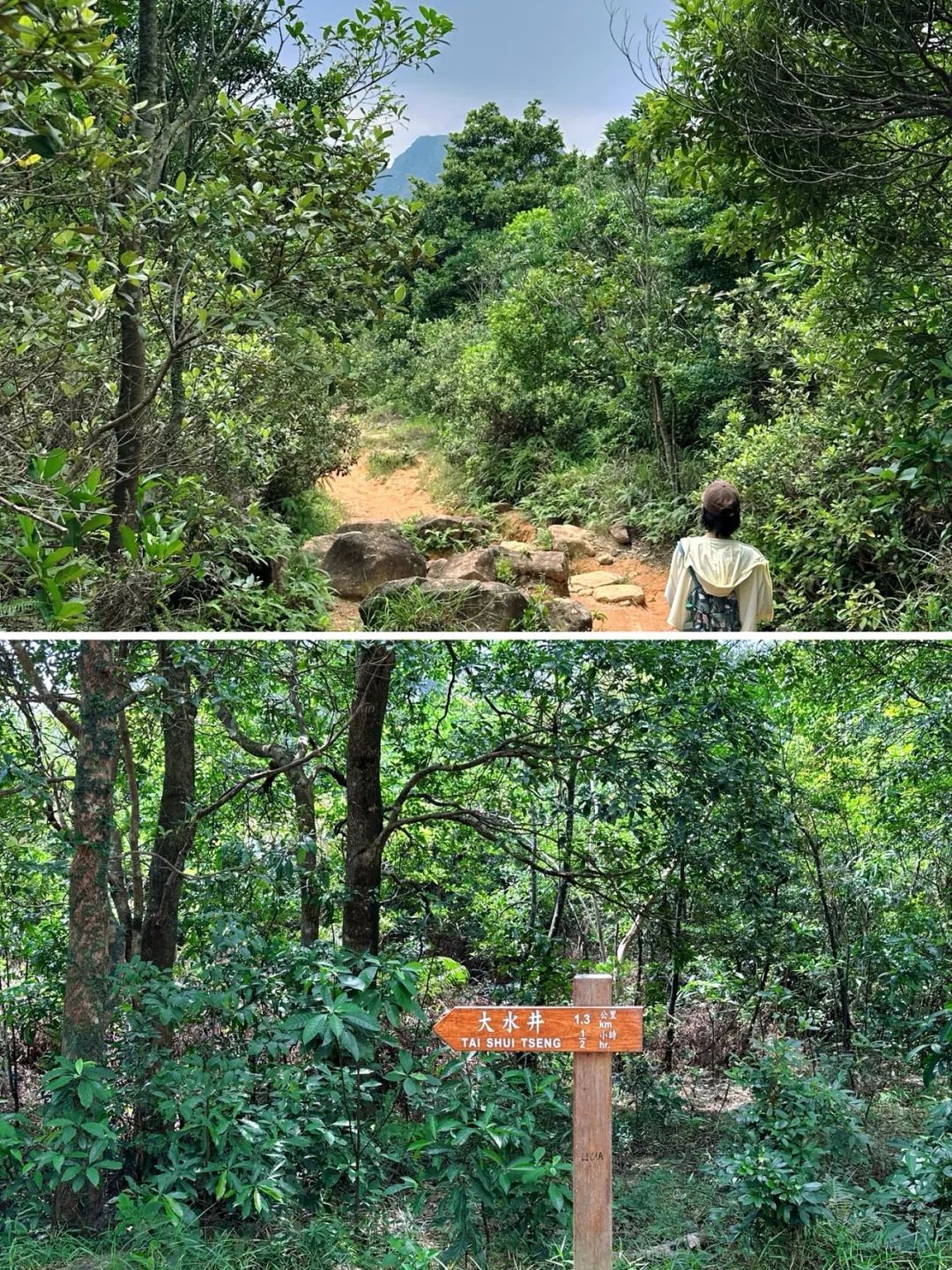 Ngong Ping Campground, Hong Kong