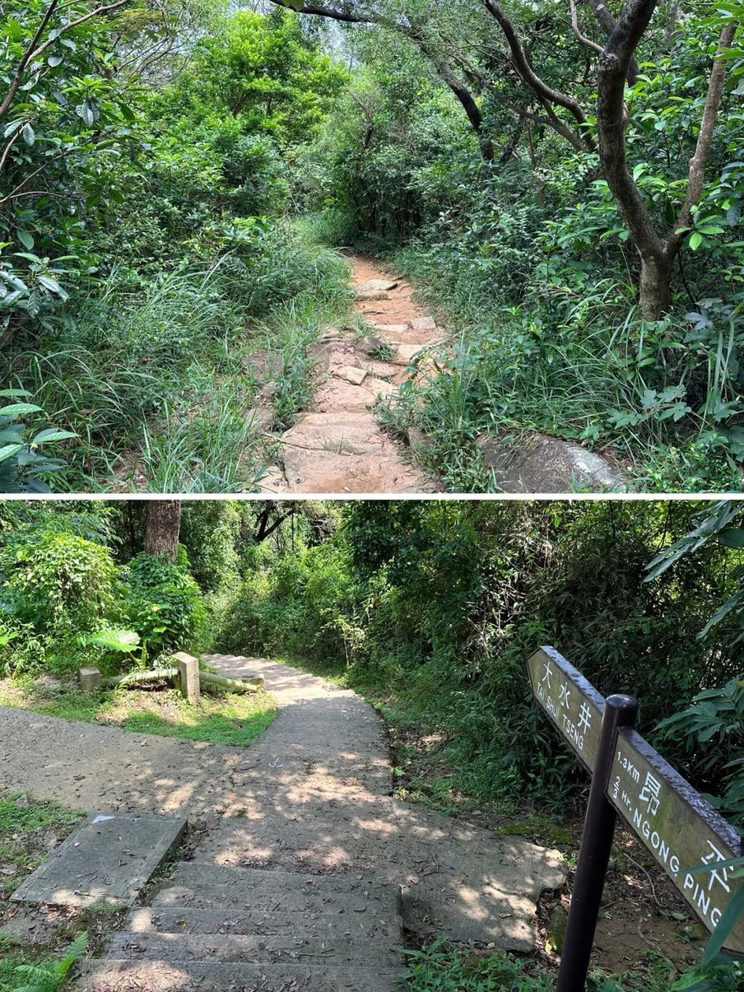 Ngong Ping Campground, Hong Kong