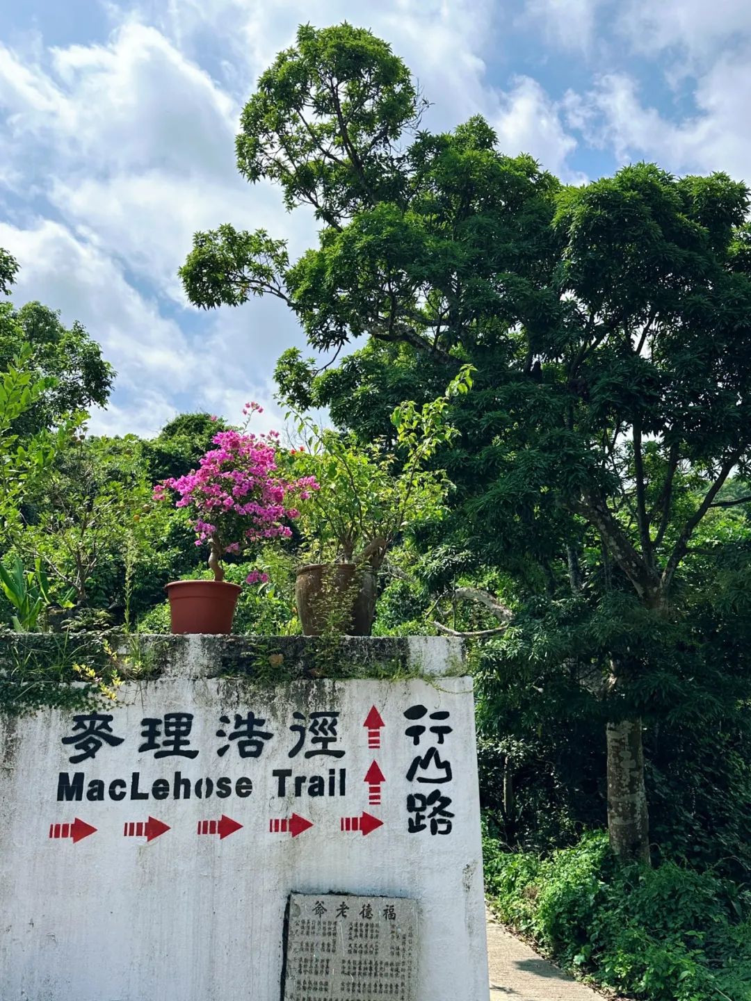 Ngong Ping Campground, Hong Kong