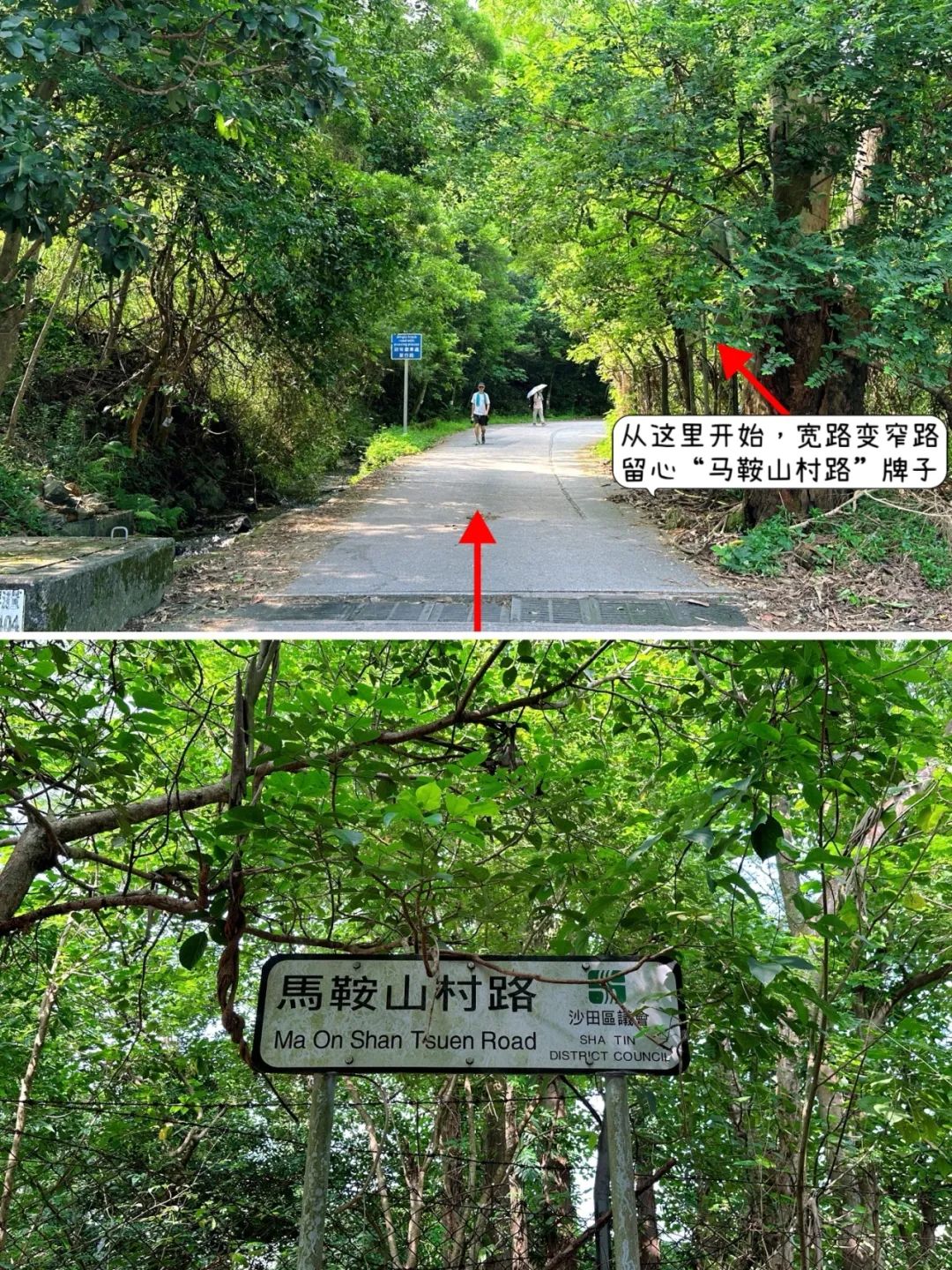 Ngong Ping Campground, Hong Kong