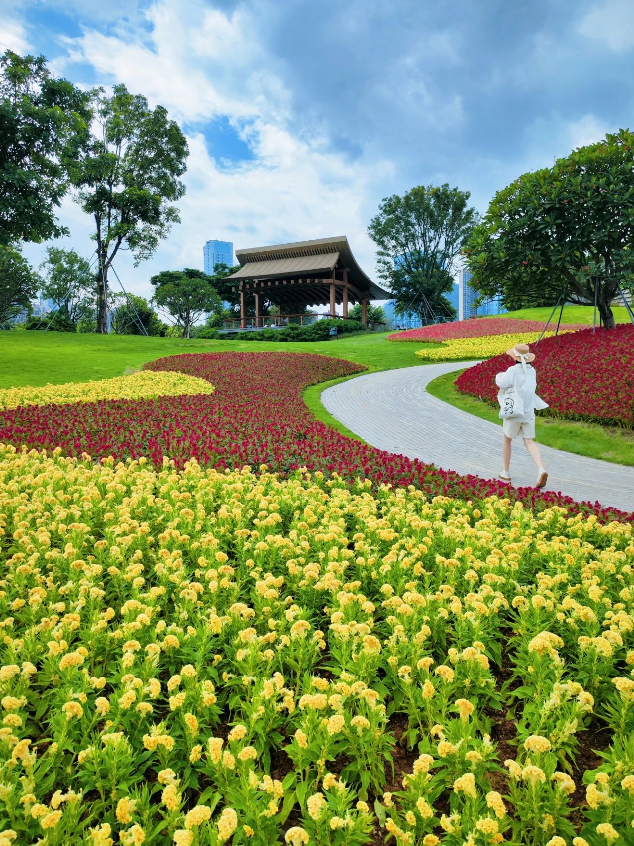 Guiwan Park's Cockscomb Flower