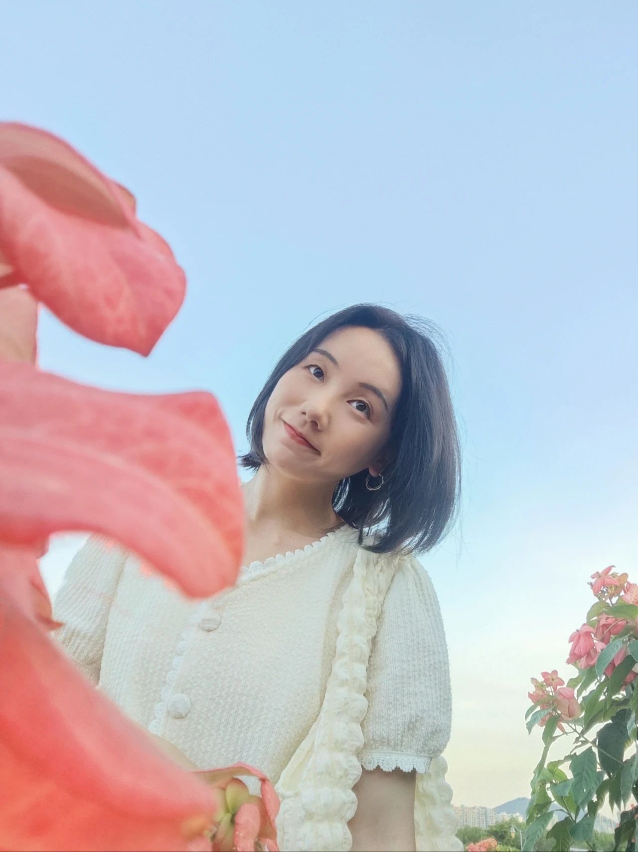 Liuhua Mountain Park, Seaside pink paper fan flower sea