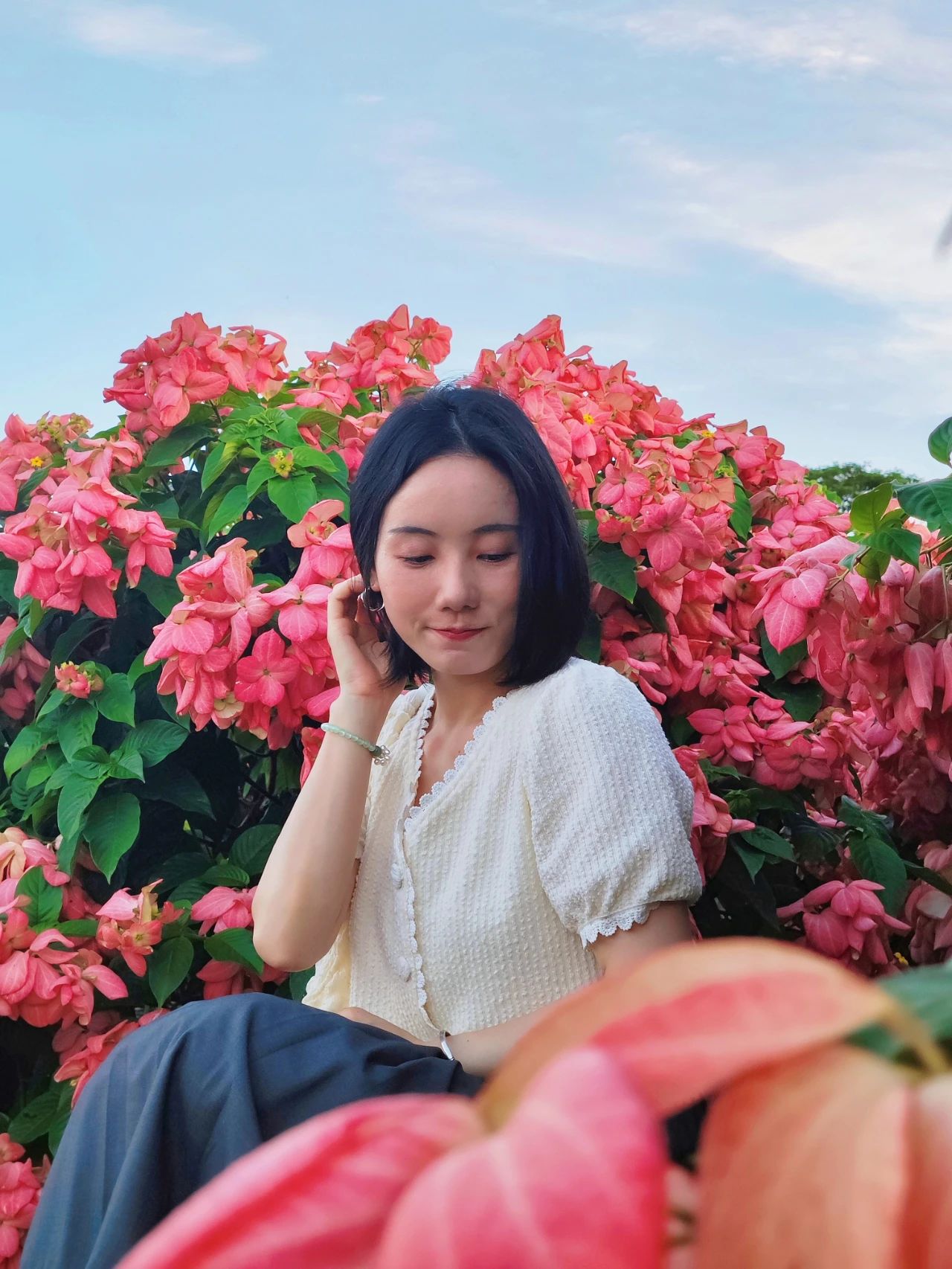 Liuhua Mountain Park, Seaside pink paper fan flower sea