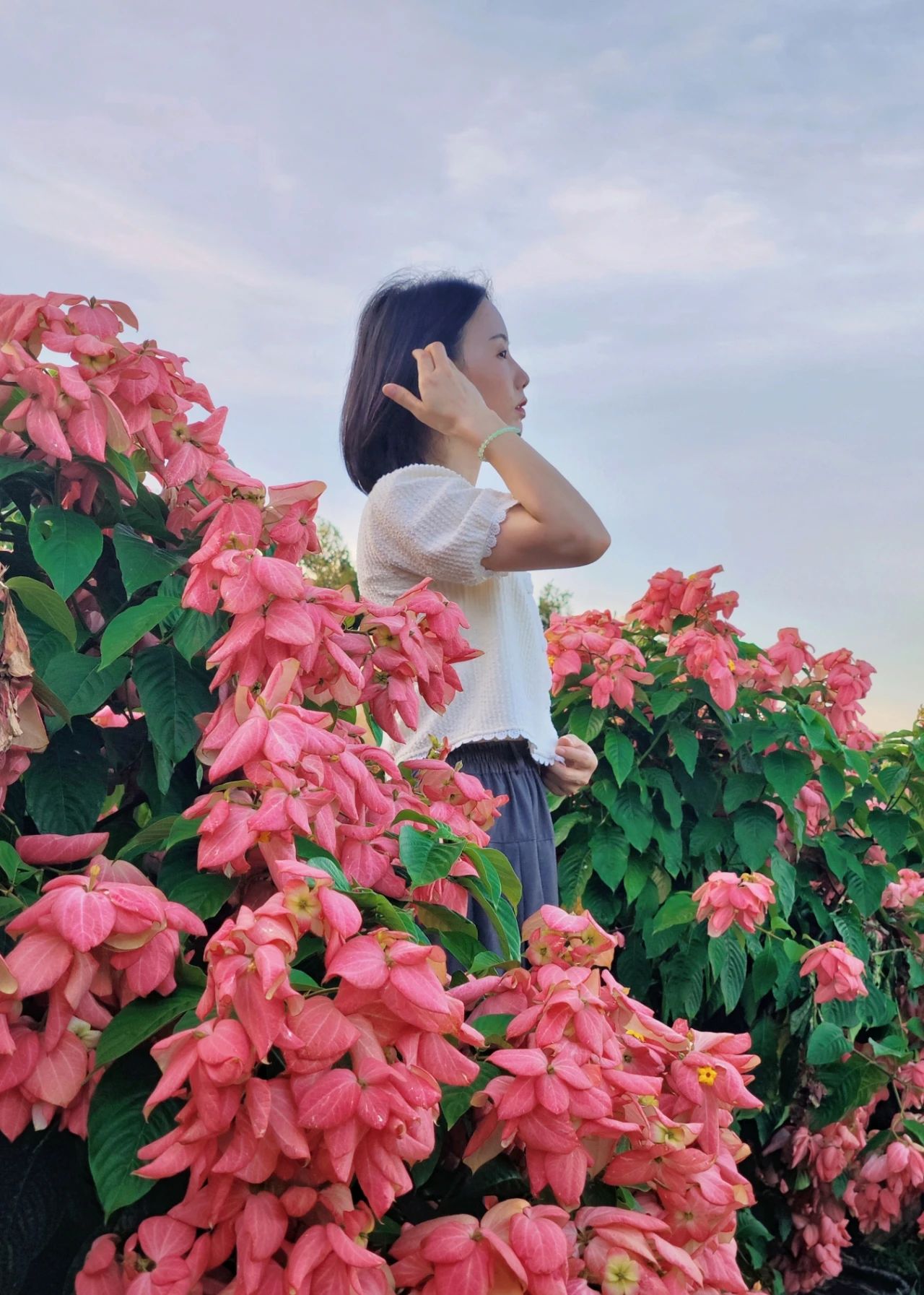 Liuhua Mountain Park, Seaside pink paper fan flower sea