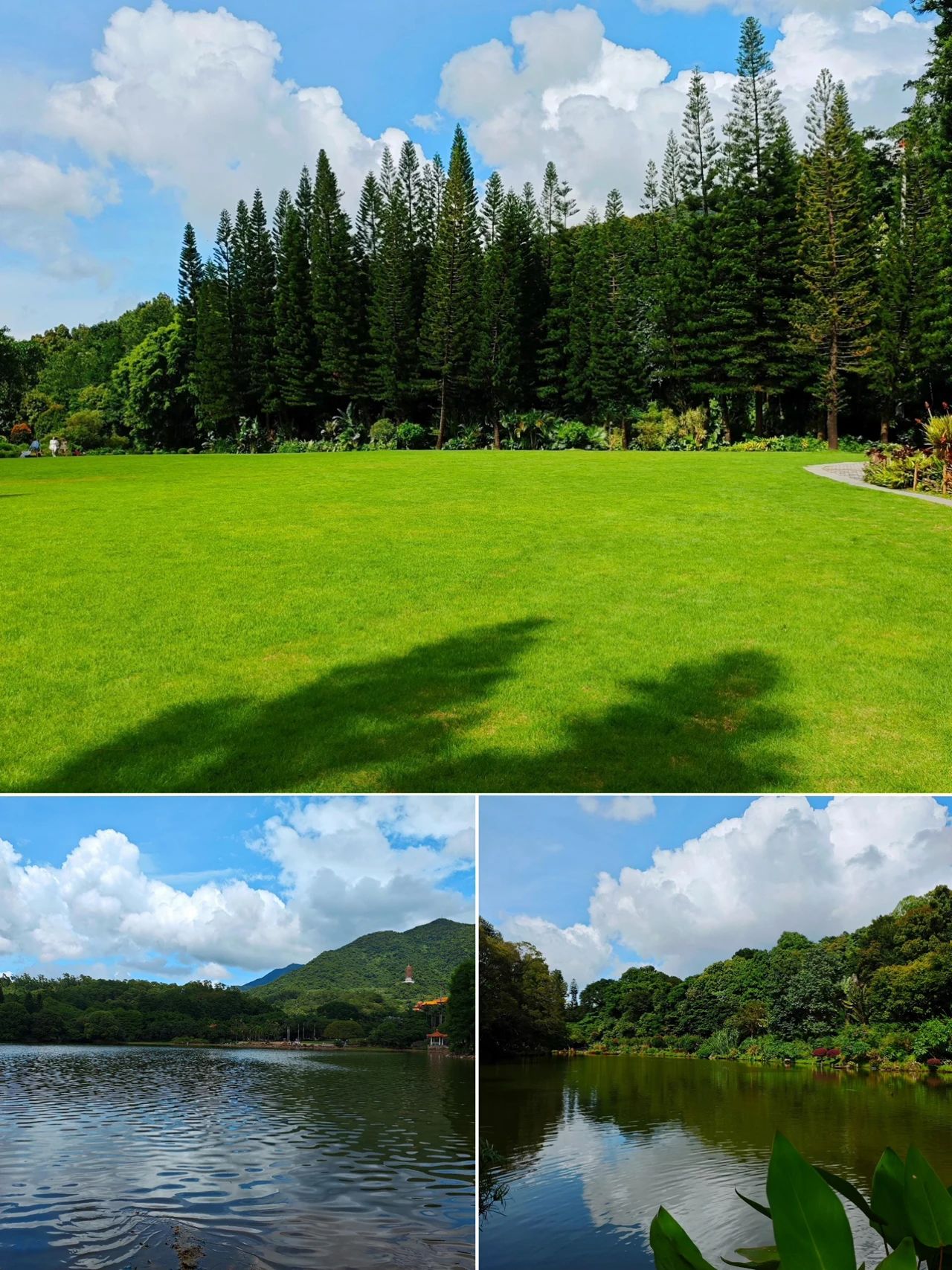 Xianhu Botanical Park, Shenzhen's Emerald