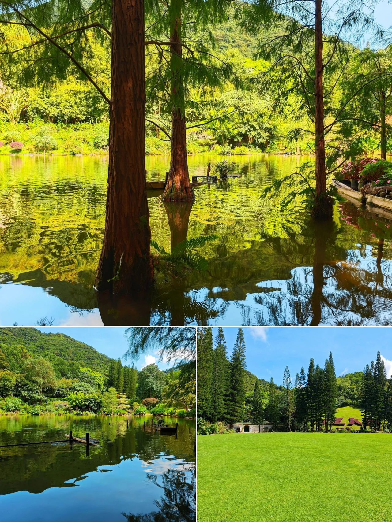 Xianhu Botanical Park, Shenzhen's Emerald