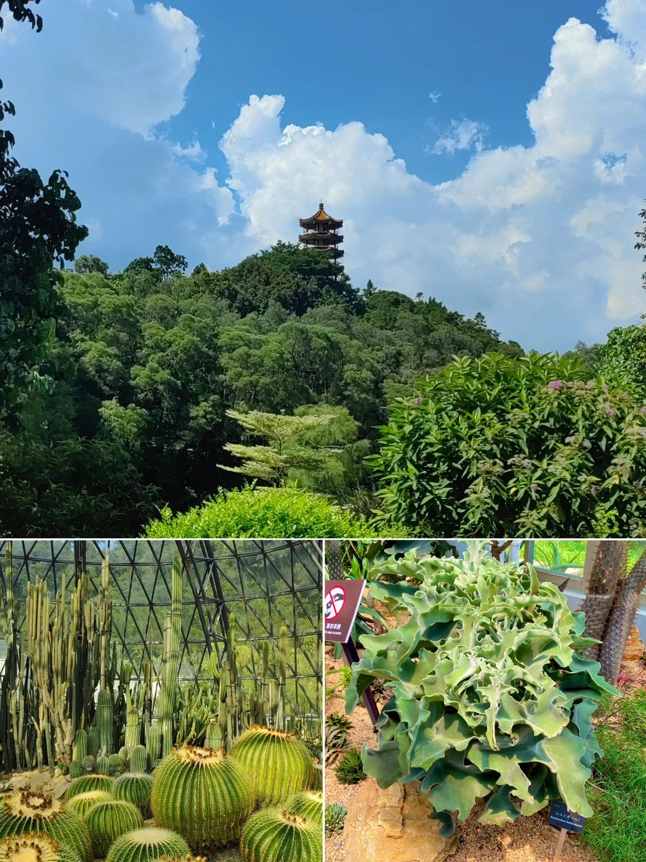 Xianhu Botanical Park, Shenzhen's Emerald