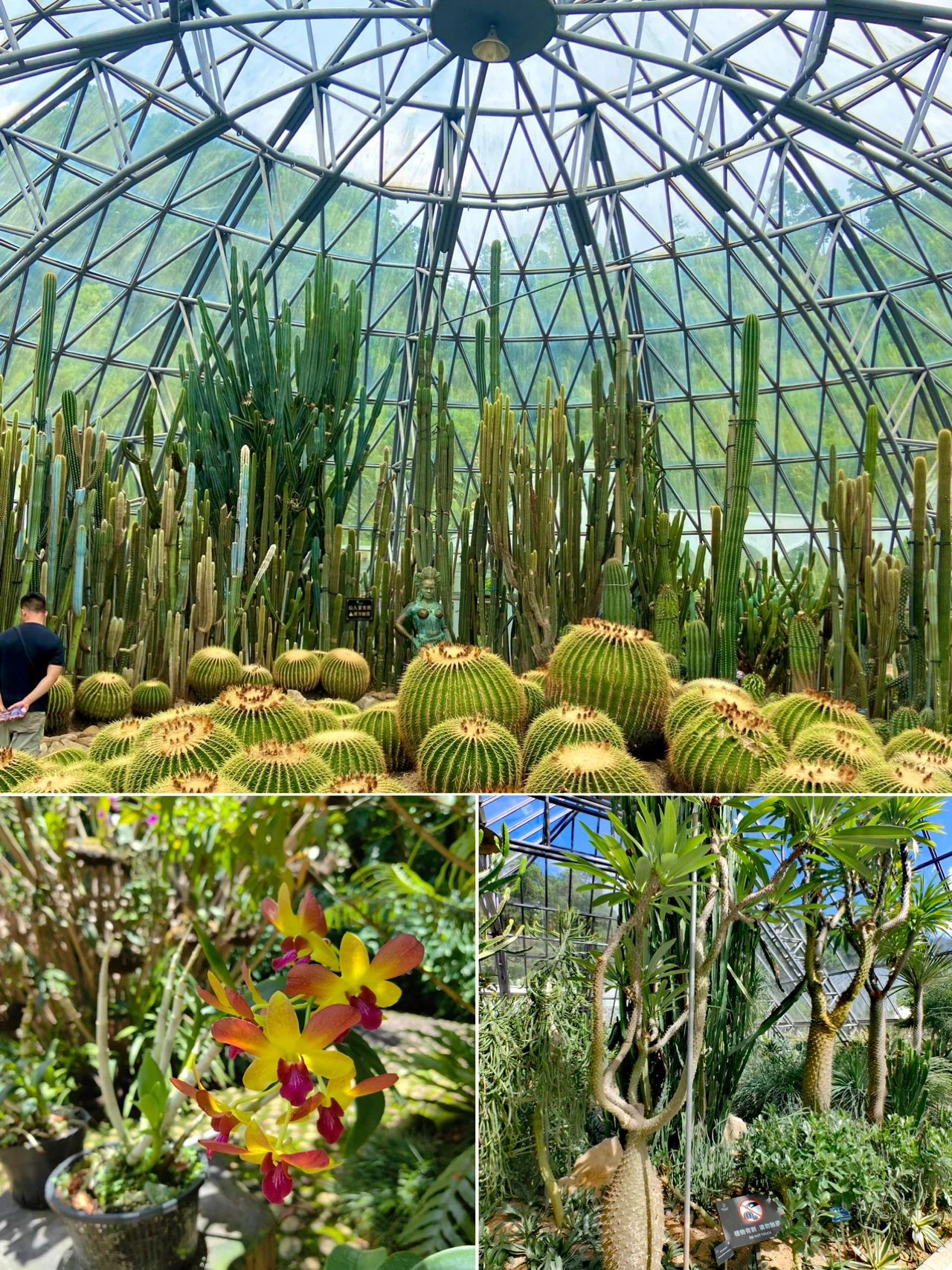 Xianhu Botanical Park, Shenzhen's Emerald