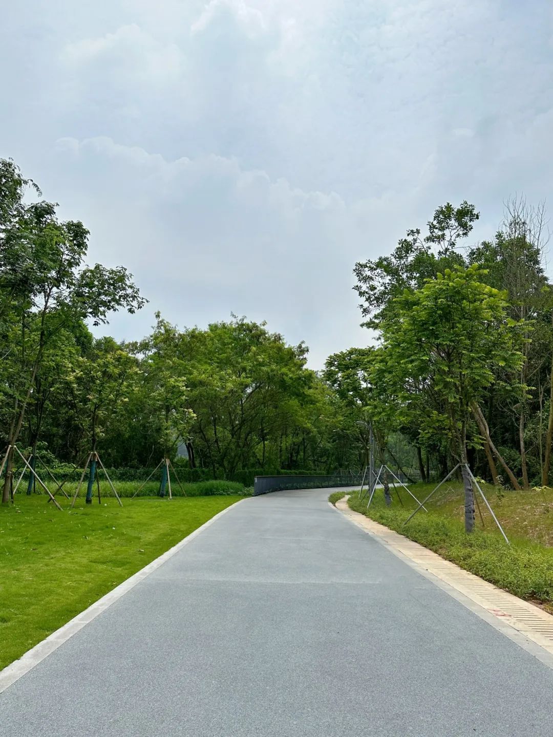 NiuHu Lake Greenway, a beautiful greenway around the lake!