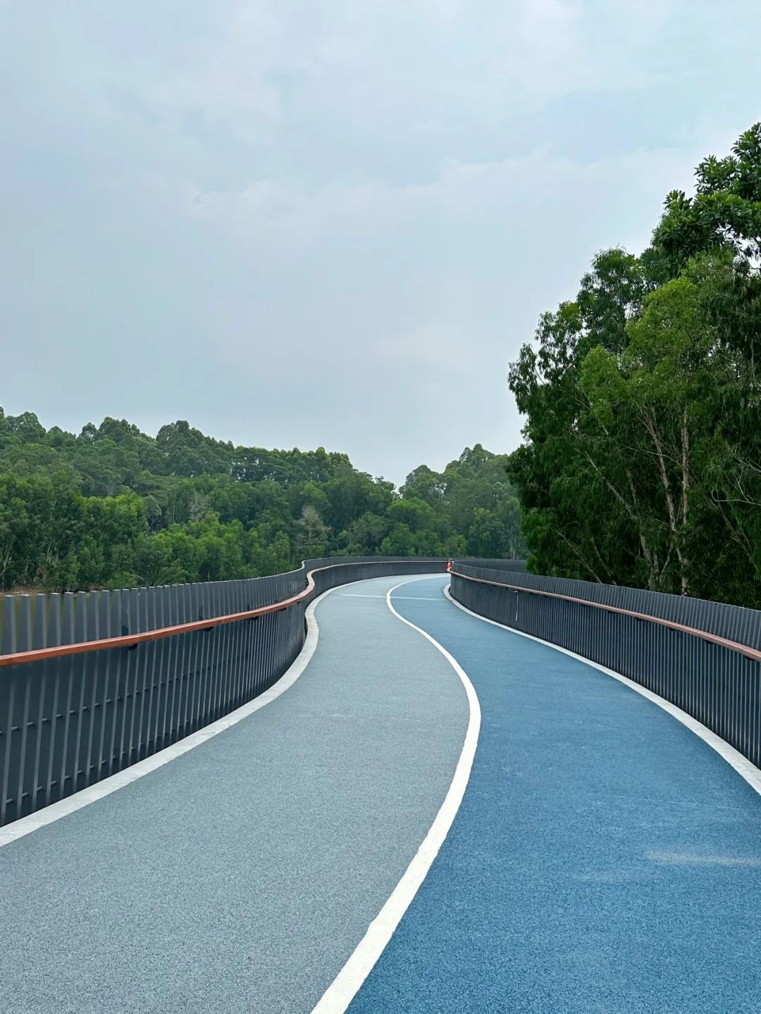 NiuHu Lake Greenway, a beautiful greenway around the lake!