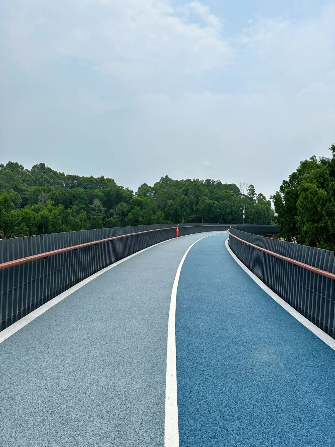 NiuHu Lake Greenway, a beautiful greenway around the lake!