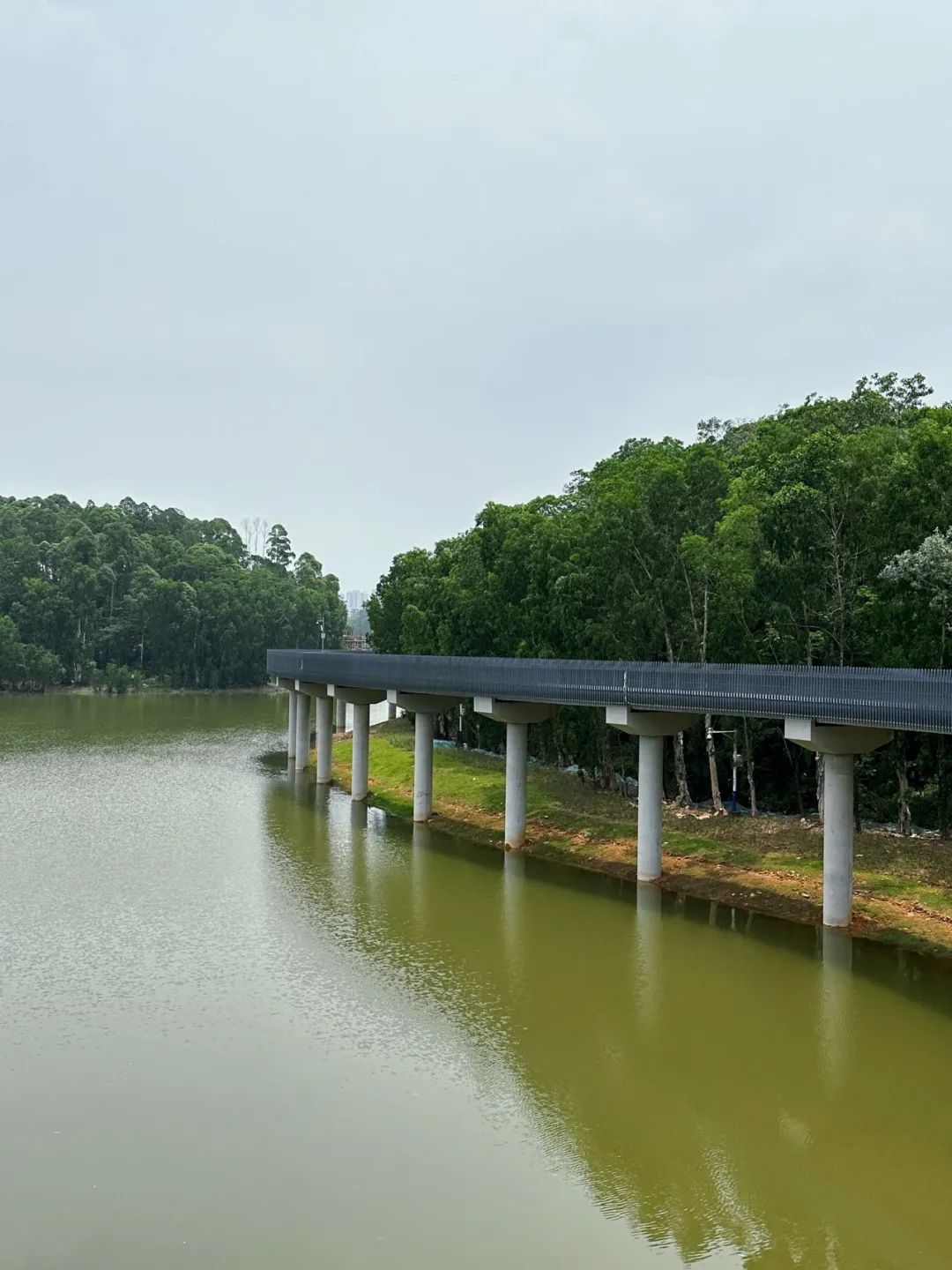 NiuHu Lake Greenway, a beautiful greenway around the lake!