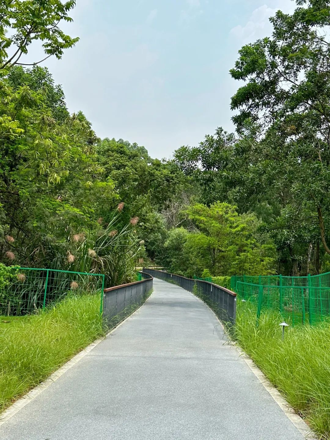 NiuHu Lake Greenway, a beautiful greenway around the lake!