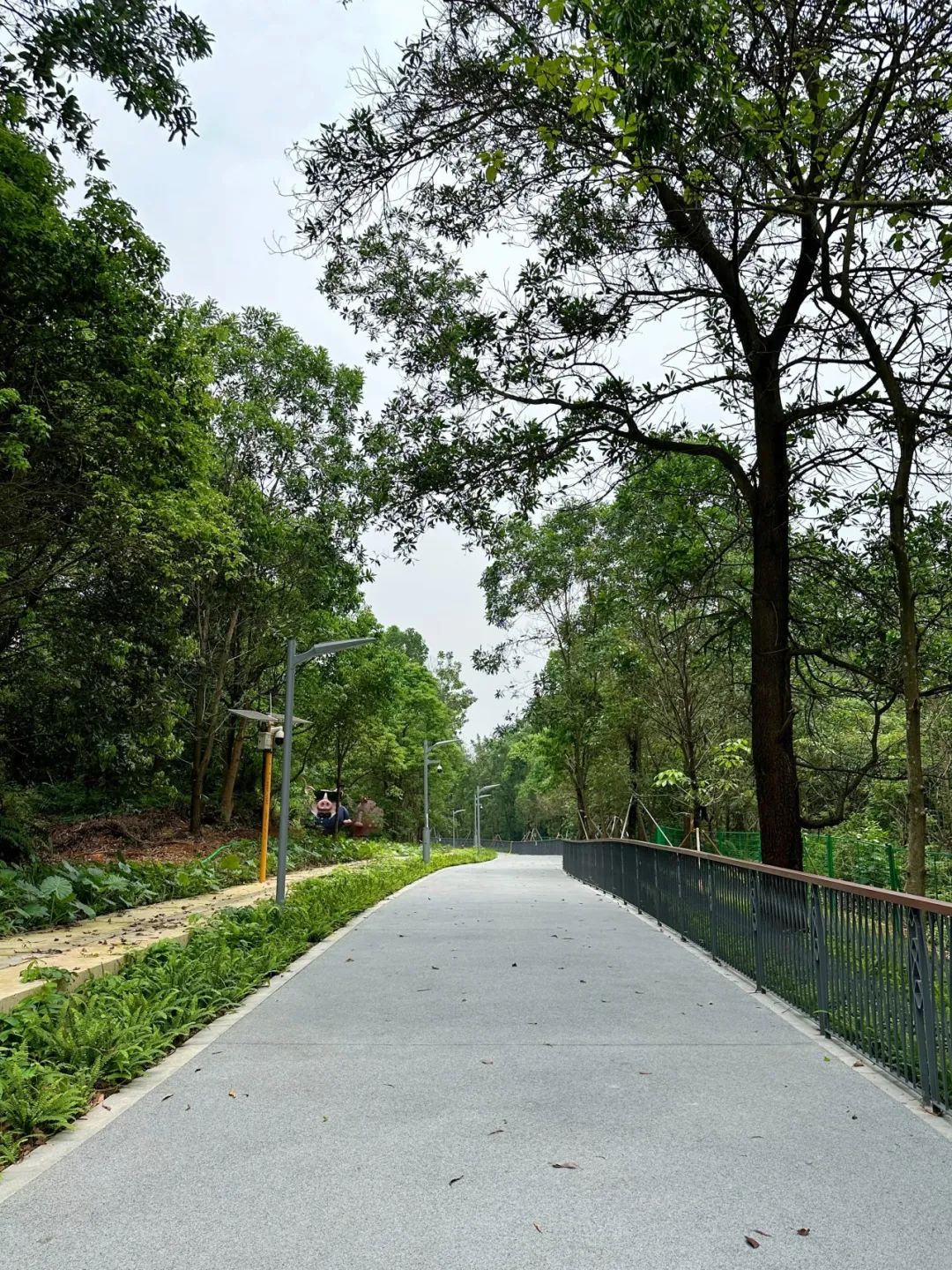 NiuHu Lake Greenway, a beautiful greenway around the lake!