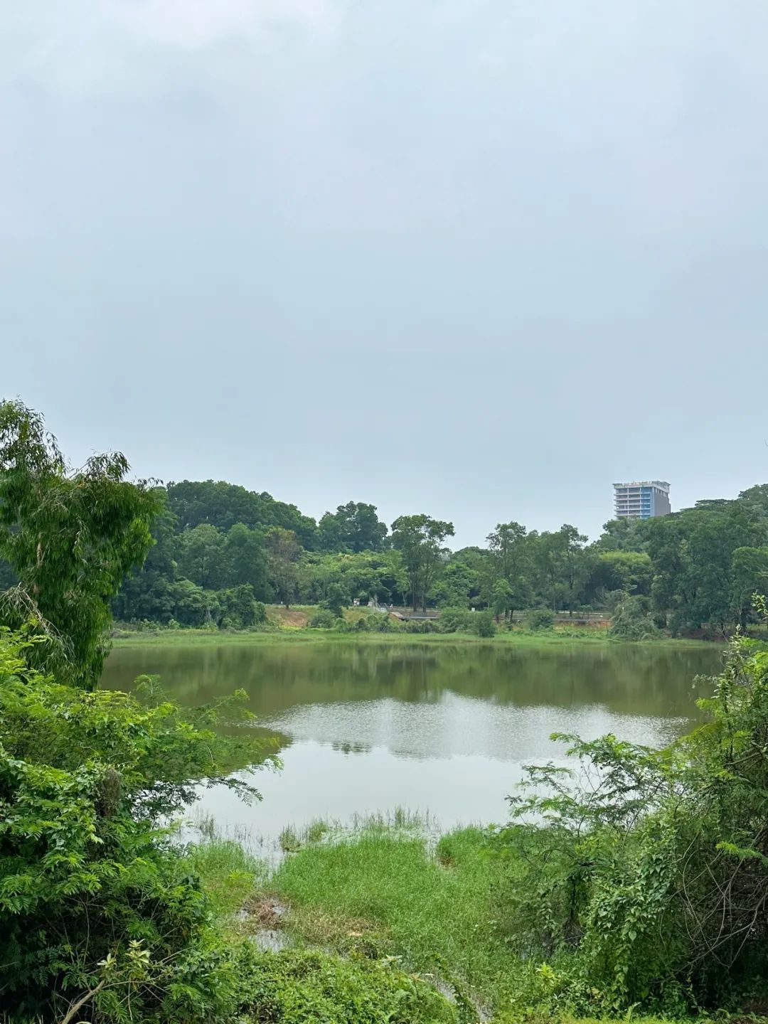 NiuHu Lake Greenway, a beautiful greenway around the lake!