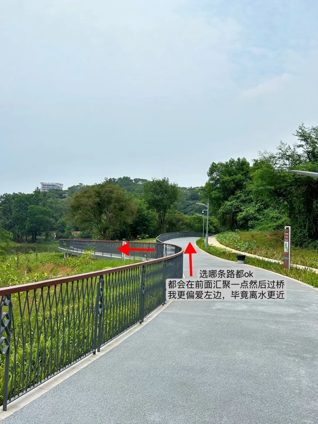 NiuHu Lake Greenway, a beautiful greenway around the lake!