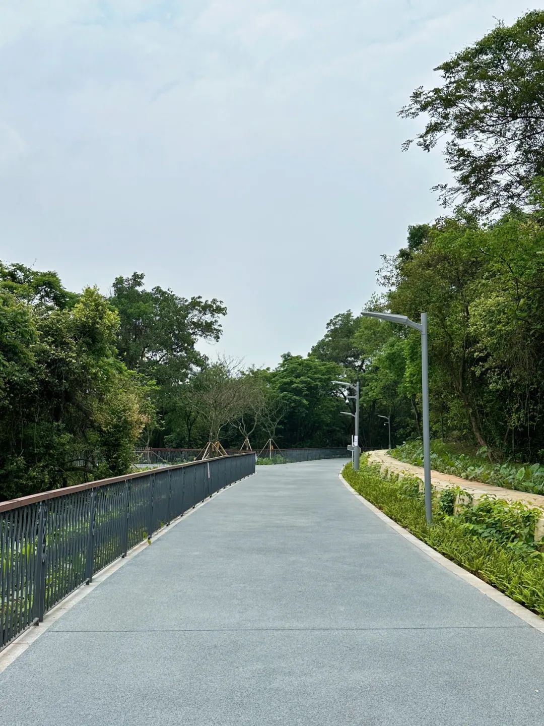 NiuHu Lake Greenway, a beautiful greenway around the lake!