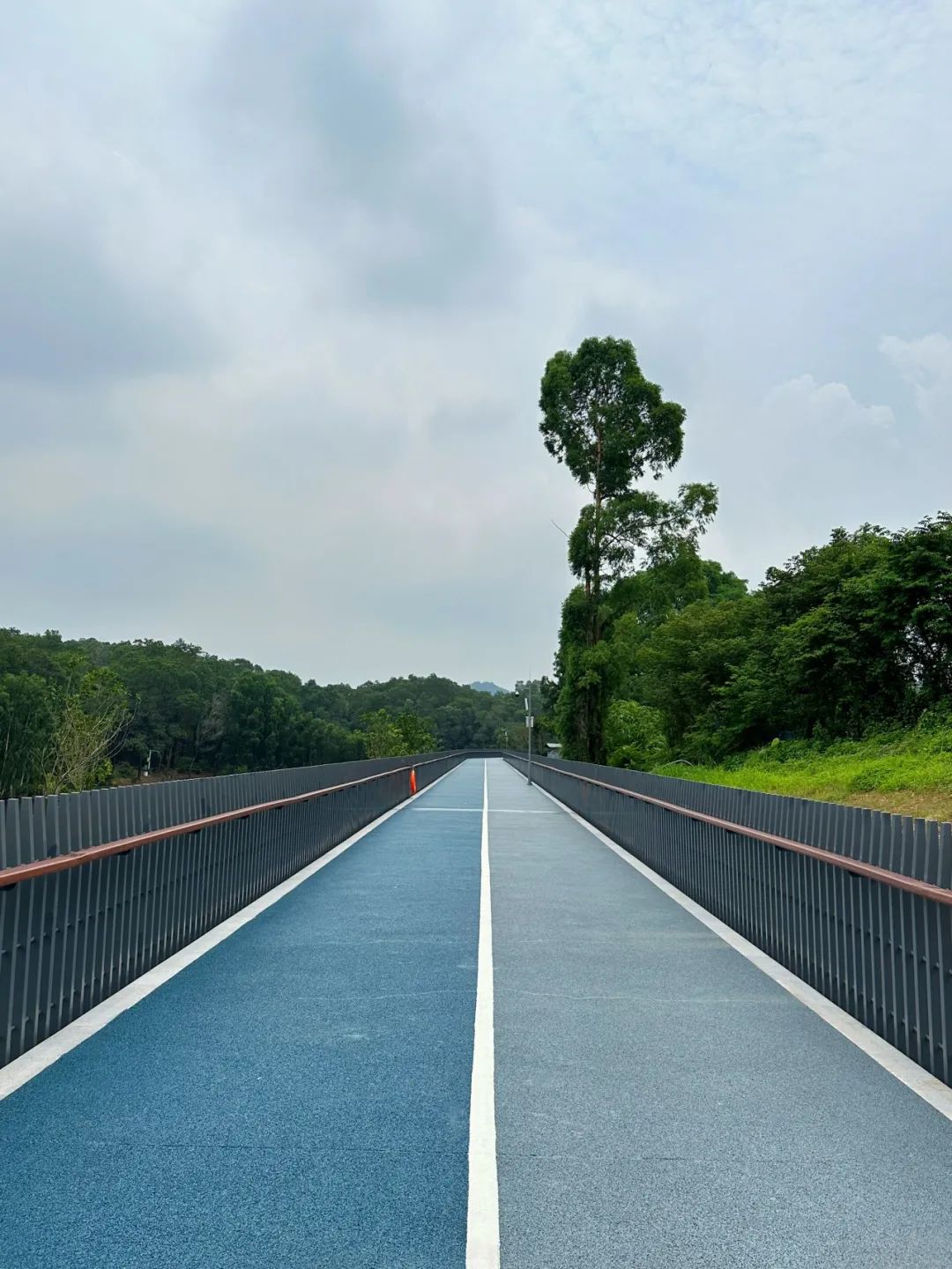 NiuHu Lake Greenway, a beautiful greenway around the lake!