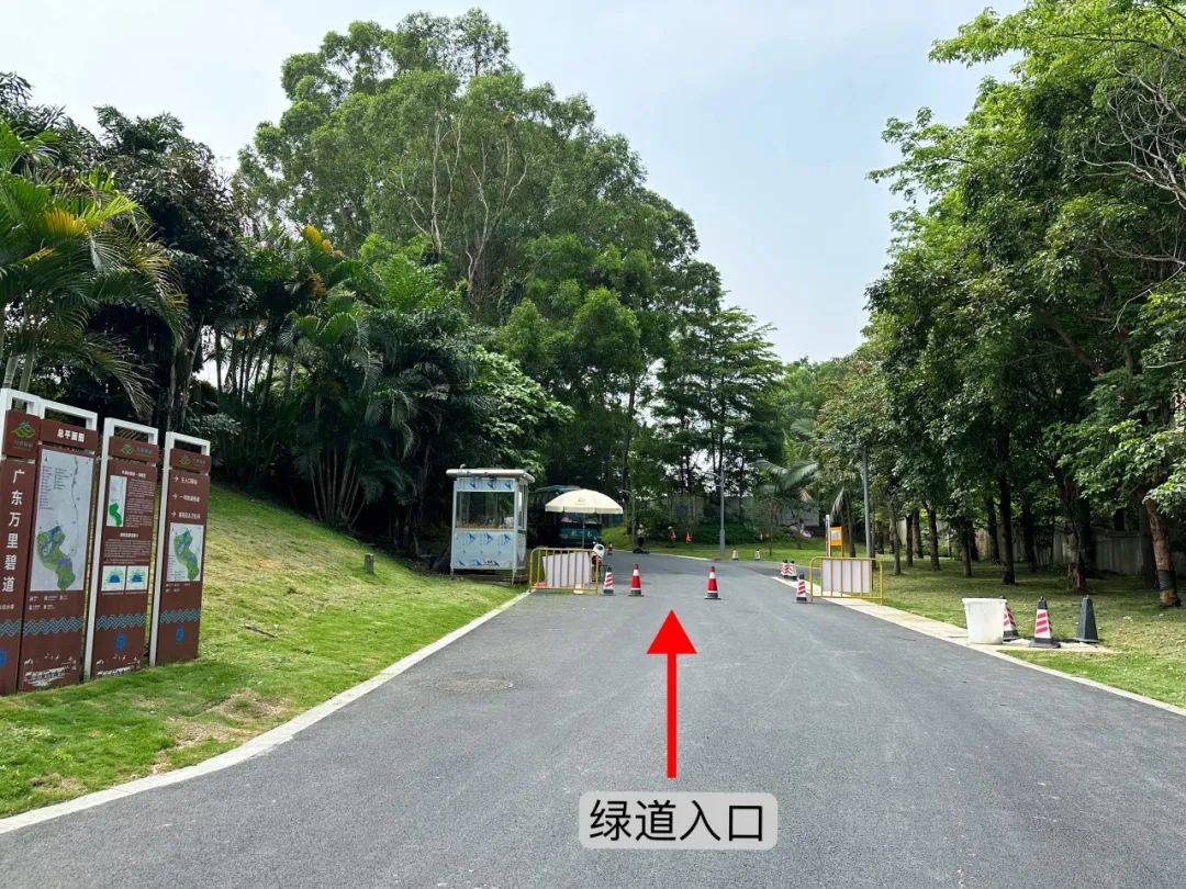 NiuHu Lake Greenway, a beautiful greenway around the lake!