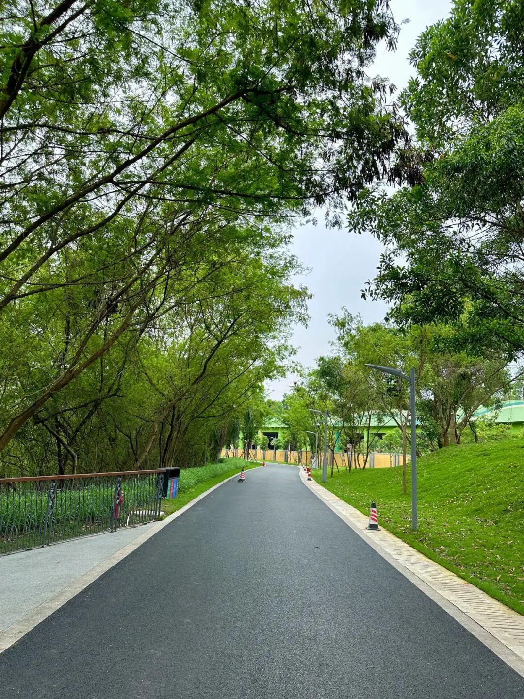 NiuHu Lake Greenway, a beautiful greenway around the lake!