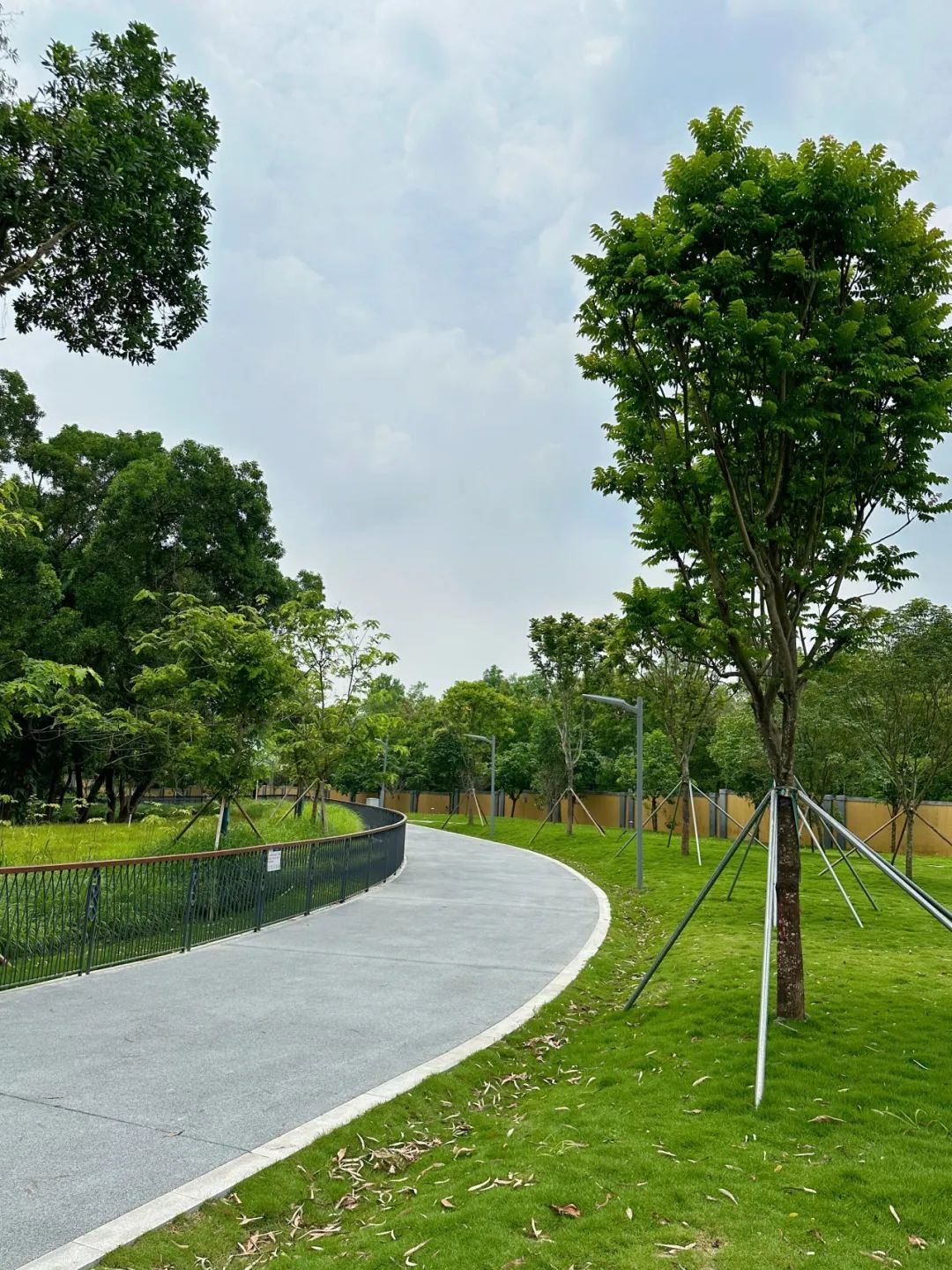 NiuHu Lake Greenway, a beautiful greenway around the lake!